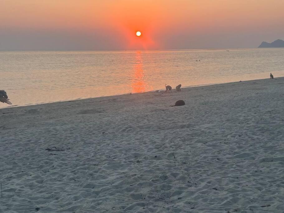 Sunset Serenity Cove Ko Pha Ngan Exterior photo