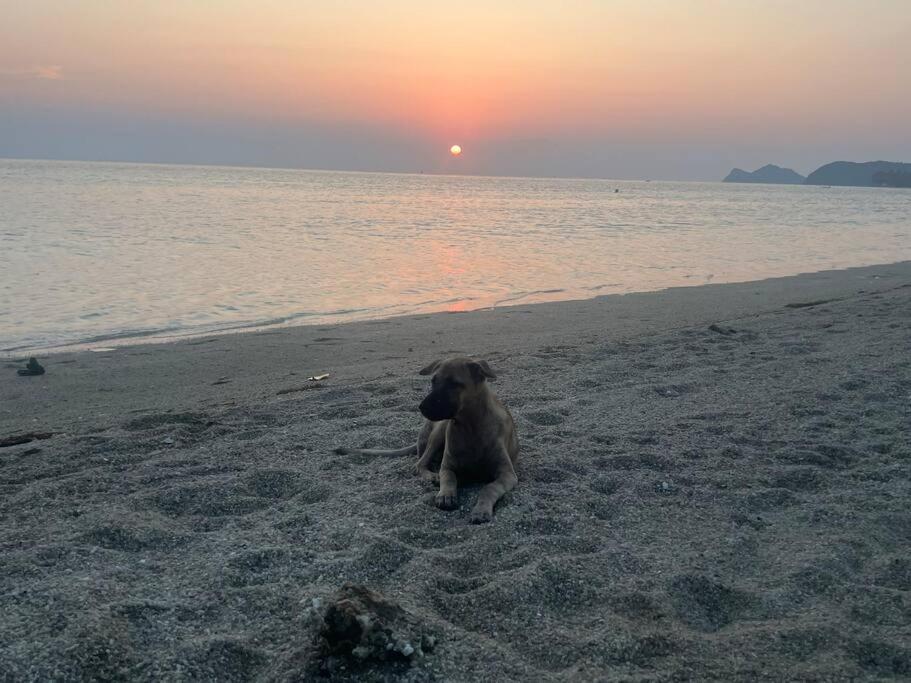Sunset Serenity Cove Ko Pha Ngan Exterior photo